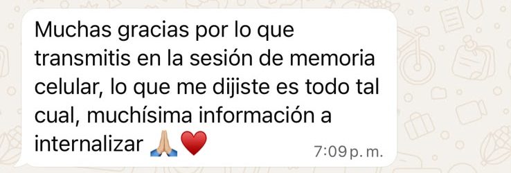 Mensaje de WhatsApp de Sofi despu&eacute;s de una sesi&oacute;n de Memoria Celular con Agostina Borsatto